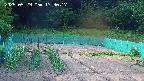 kannonmori-20250529173018.jpg
