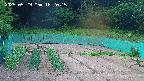 kannonmori-20250529182016.jpg