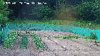 kannonmori-20250529184017.jpg