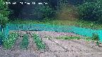 kannonmori-20250529185017.jpg