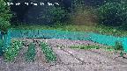 kannonmori-20250529190016.jpg