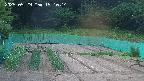 kannonmori-20250529191015.jpg