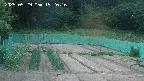 kannonmori-20250529192017.jpg