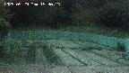 kannonmori-20250529193014.jpg