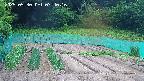 kannonmori-20250530074017.jpg