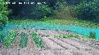 kannonmori-20250530075017.jpg