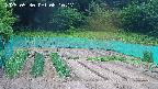 kannonmori-20250530081018.jpg