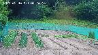 kannonmori-20250530082016.jpg