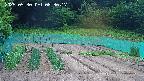 kannonmori-20250530083018.jpg