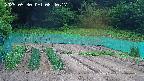 kannonmori-20250530084018.jpg