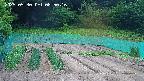 kannonmori-20250530085016.jpg