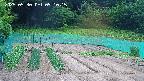 kannonmori-20250530091017.jpg