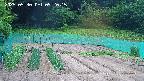kannonmori-20250530092017.jpg