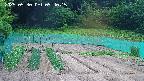 kannonmori-20250530094017.jpg