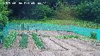 kannonmori-20250530095016.jpg