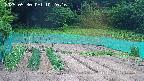 kannonmori-20250530102018.jpg
