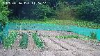 kannonmori-20250530112016.jpg
