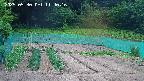 kannonmori-20250530114018.jpg