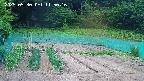kannonmori-20250530115018.jpg