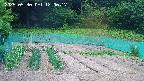 kannonmori-20250530120019.jpg