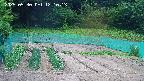 kannonmori-20250530121015.jpg