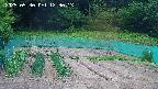kannonmori-20250530123016.jpg
