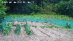 kannonmori-20250530124015.jpg