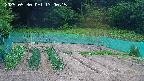 kannonmori-20250530130017.jpg