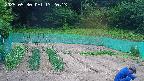 kannonmori-20250530132015.jpg