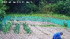 kannonmori-20250530133017.jpg