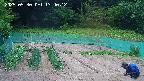 kannonmori-20250530134014.jpg