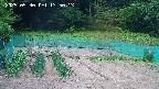 kannonmori-20250530135015.jpg