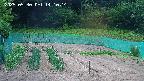 kannonmori-20250530141015.jpg