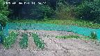 kannonmori-20250530142016.jpg