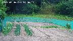 kannonmori-20250530144015.jpg