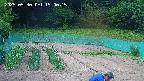 kannonmori-20250530150017.jpg