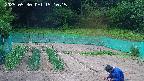 kannonmori-20250530151017.jpg