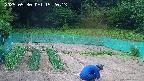 kannonmori-20250530152015.jpg