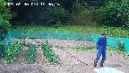 kannonmori-20250530153018.jpg