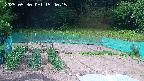 kannonmori-20250530154016.jpg
