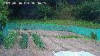 kannonmori-20250530160017.jpg