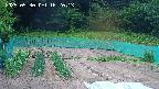 kannonmori-20250530162015.jpg