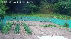 kannonmori-20250530163018.jpg
