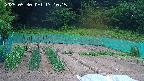 kannonmori-20250530171017.jpg