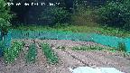 kannonmori-20250530174016.jpg