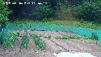 kannonmori-20250530175015.jpg