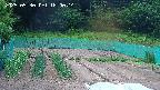 kannonmori-20250530180016.jpg