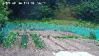 kannonmori-20250530181017.jpg