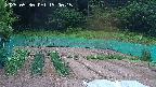 kannonmori-20250530190017.jpg