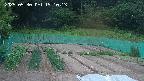kannonmori-20250530191015.jpg